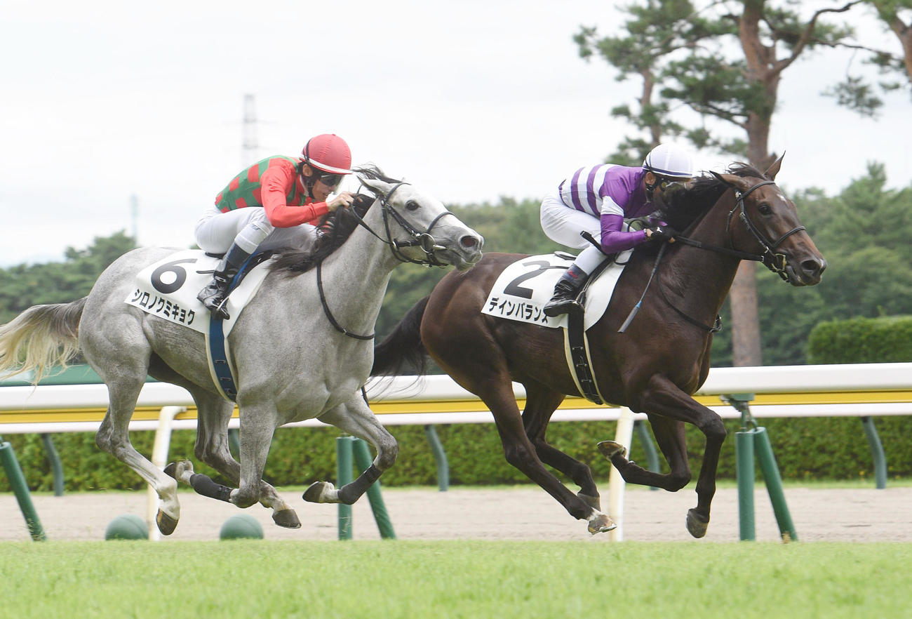 新馬戦を制したデインバランス。左は2着シロノクミキョク（22年8月27日撮影）