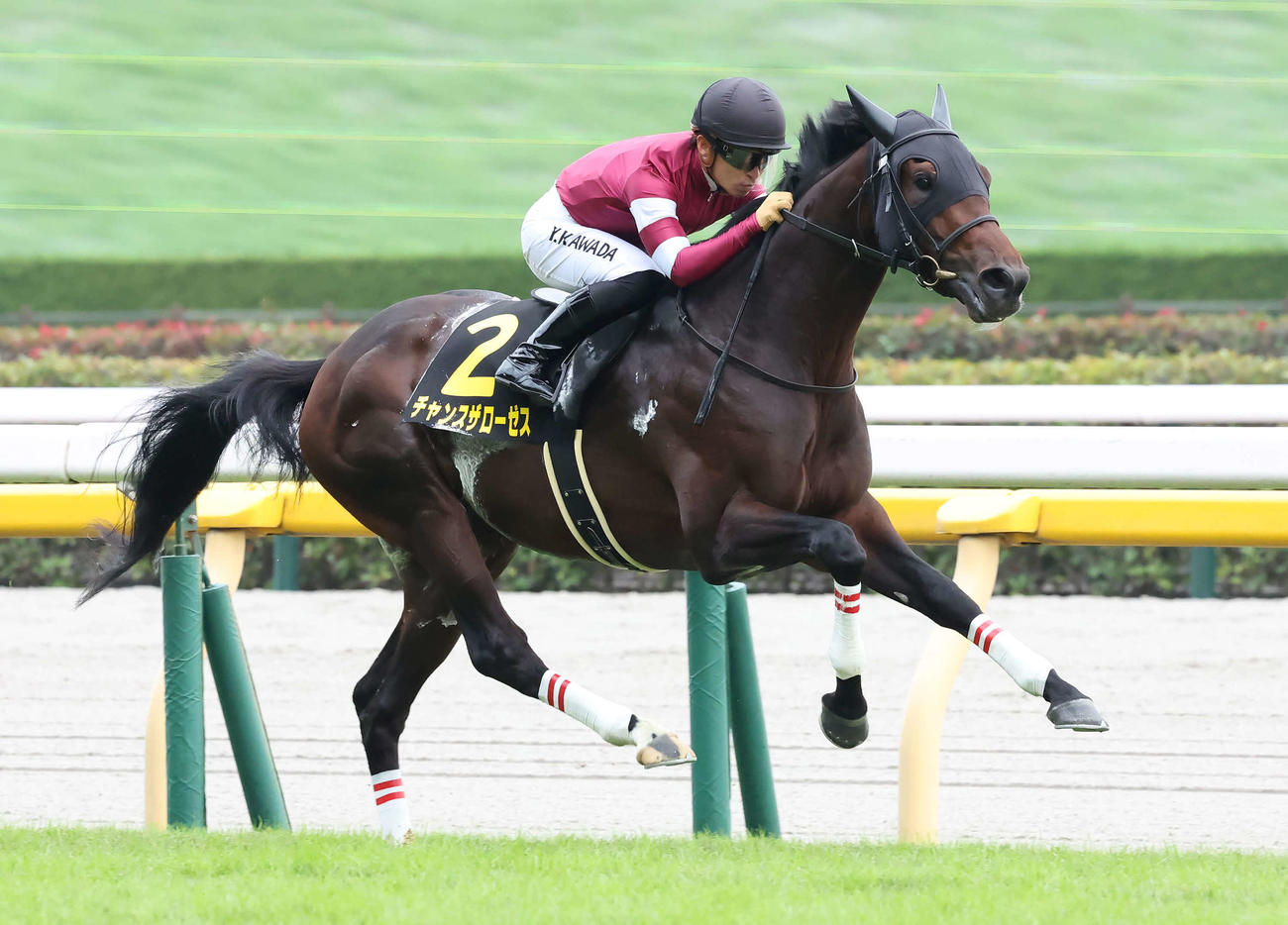アイビーSを制したチャンスザローゼスと川田騎手（22年10月22日撮影）