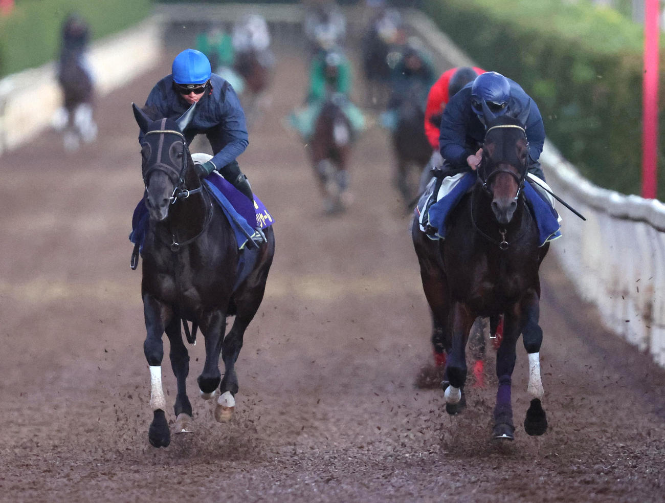 岩田望騎手を背に坂路をカントル（右）と併せ馬で追い切るシャフリヤール（撮影・白石智彦）