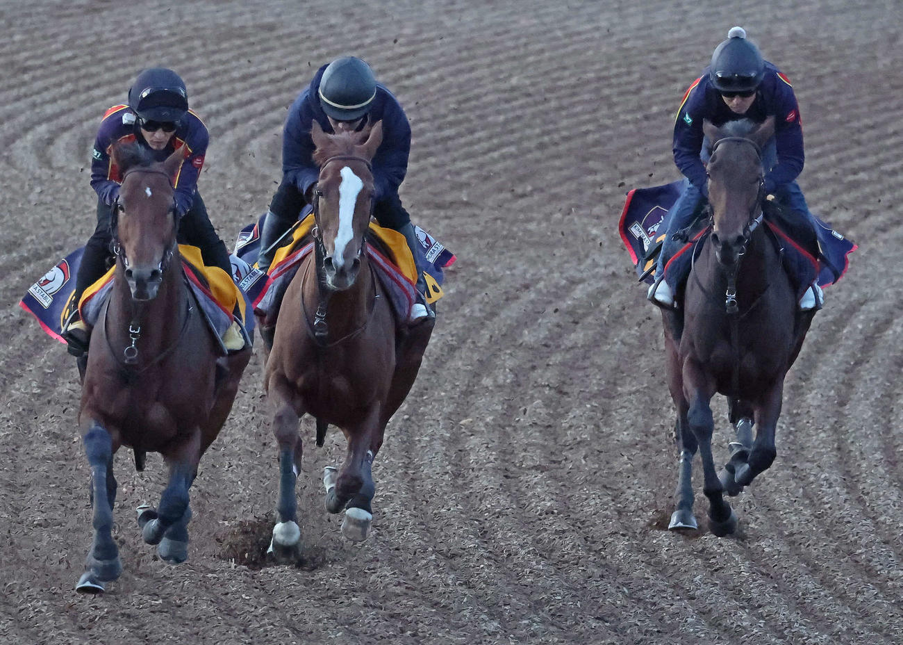 スカイグルーヴ（中央）は美浦ウッドを3頭併せで追い切られた（撮影・丹羽敏通）