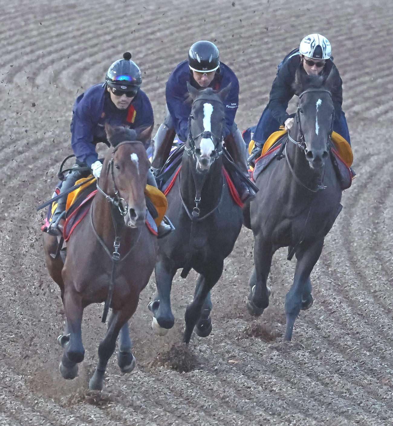 イクイノックス（中央）は美浦ウッドを3頭併せで追い切られた（撮影・丹羽敏通）