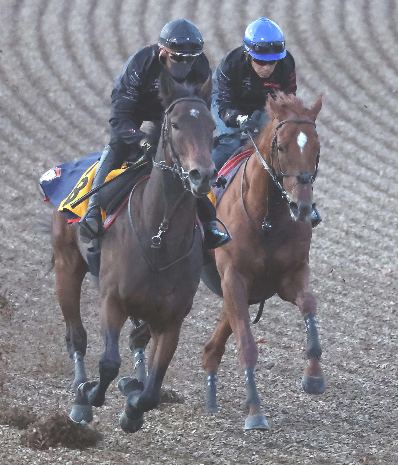 ジオグリフ（右）は福永騎手を背に美浦ウッドでカーペンタリアと併せて追い切られた（撮影・丹羽敏通）