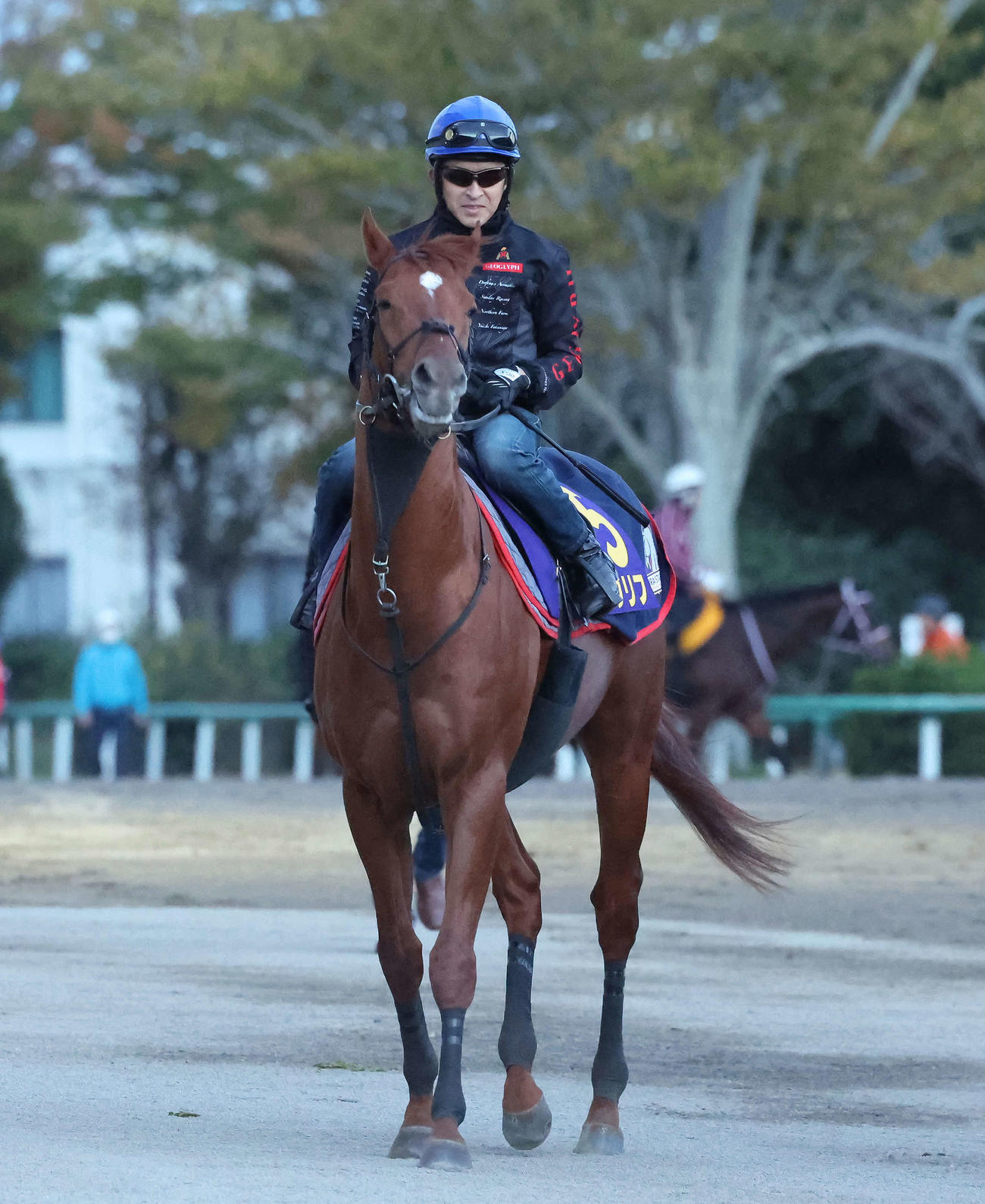 朝一番、馬場へ向かうジオグリフと福永騎手（撮影・丹羽敏通）