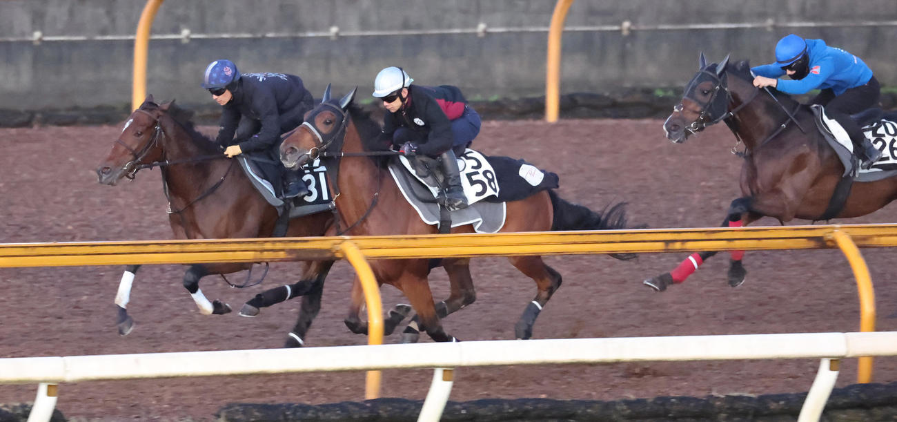 川田騎手を背にCウッドを3頭併せで追い切るリバティアイランド（左）