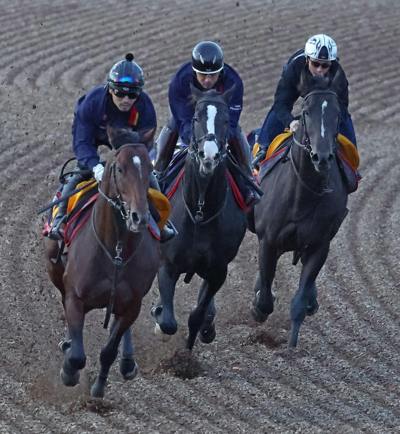 イクイノックス（中央）は美浦ウッドを3頭併せで追い切られた（撮影・丹羽敏通）