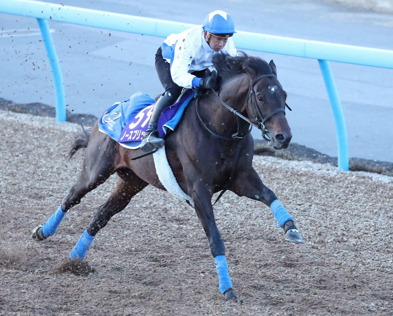 26日、岩田康騎手を背に追い切られたノースブリッジ