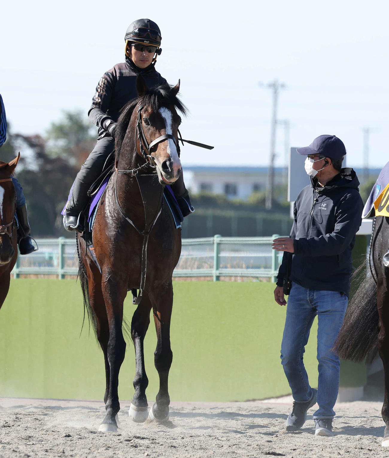 調教を終えて馬場を出るダノンベルーガとスタッフから話を聞く堀宣行調教師（右）（撮影・丹羽敏通）