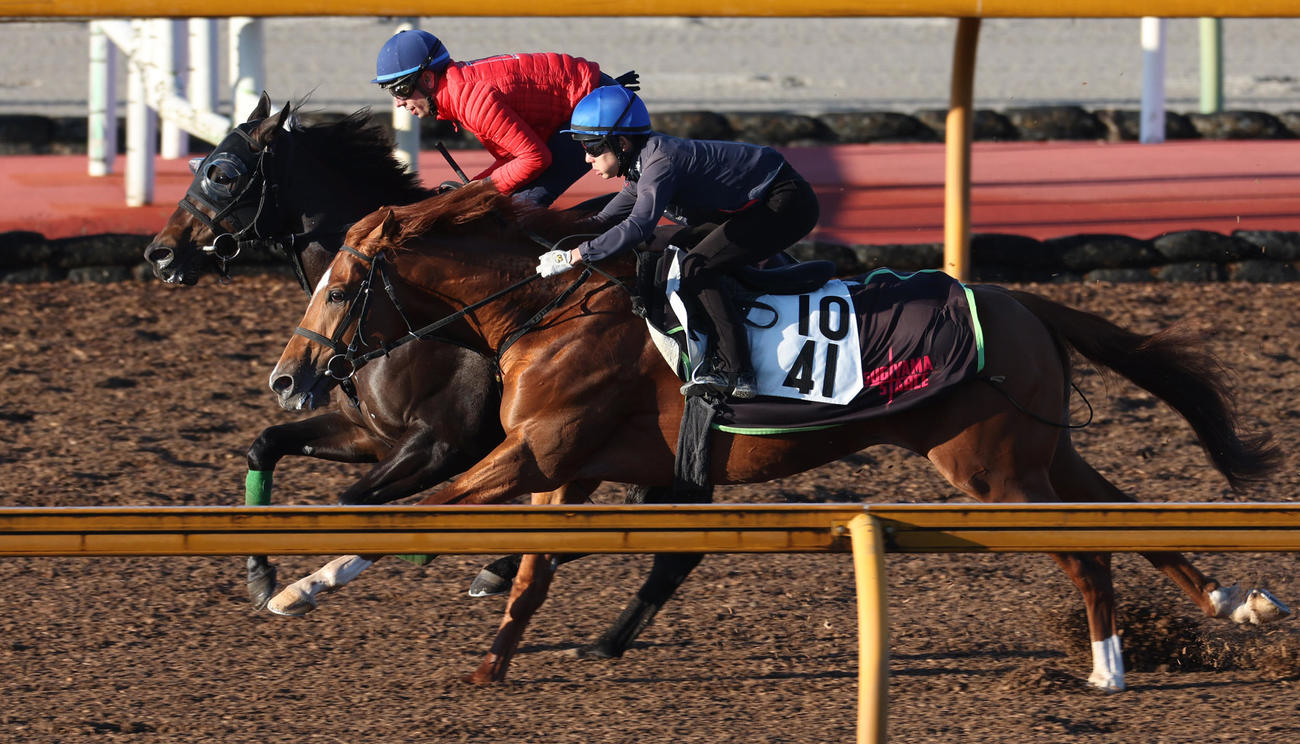 C・デムーロ騎手を背に併せ馬で追い切られたジャスティンレオン（奥）