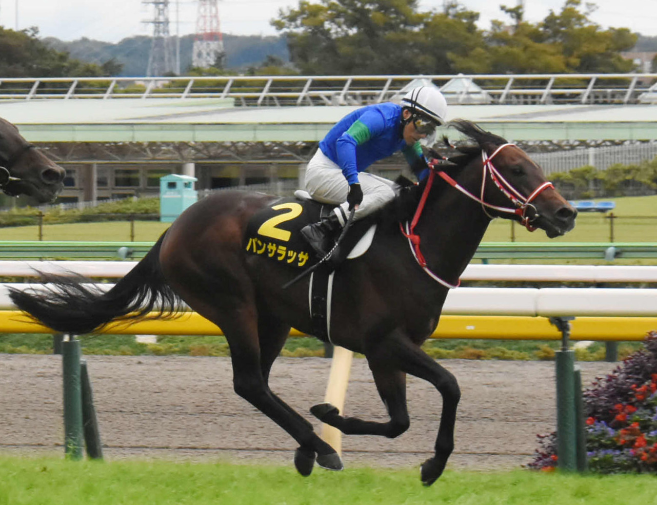 昨年のオクトバーSを逃げ切った吉田豊騎手とパンサラッサ