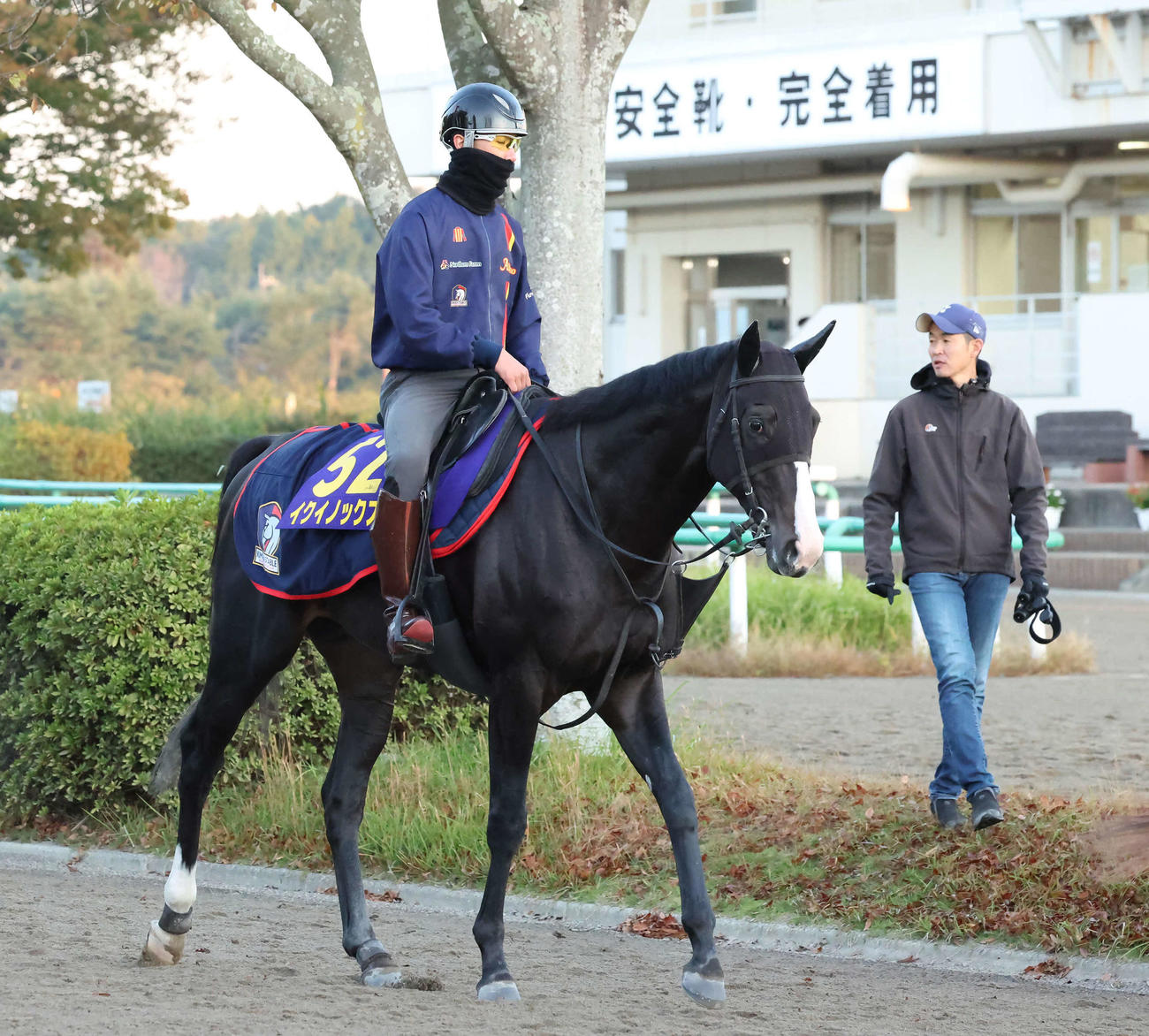 イクイノックスと木村師（右奥）（2022年10月27日撮影）