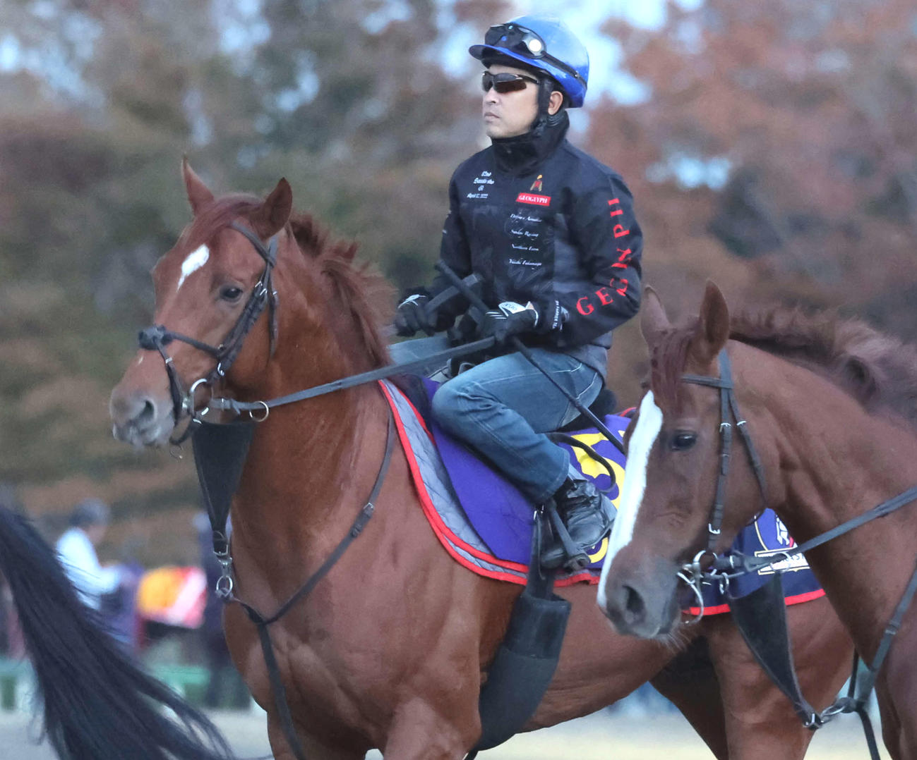 ジオグリフと福永騎手（2022年10月26日撮影）