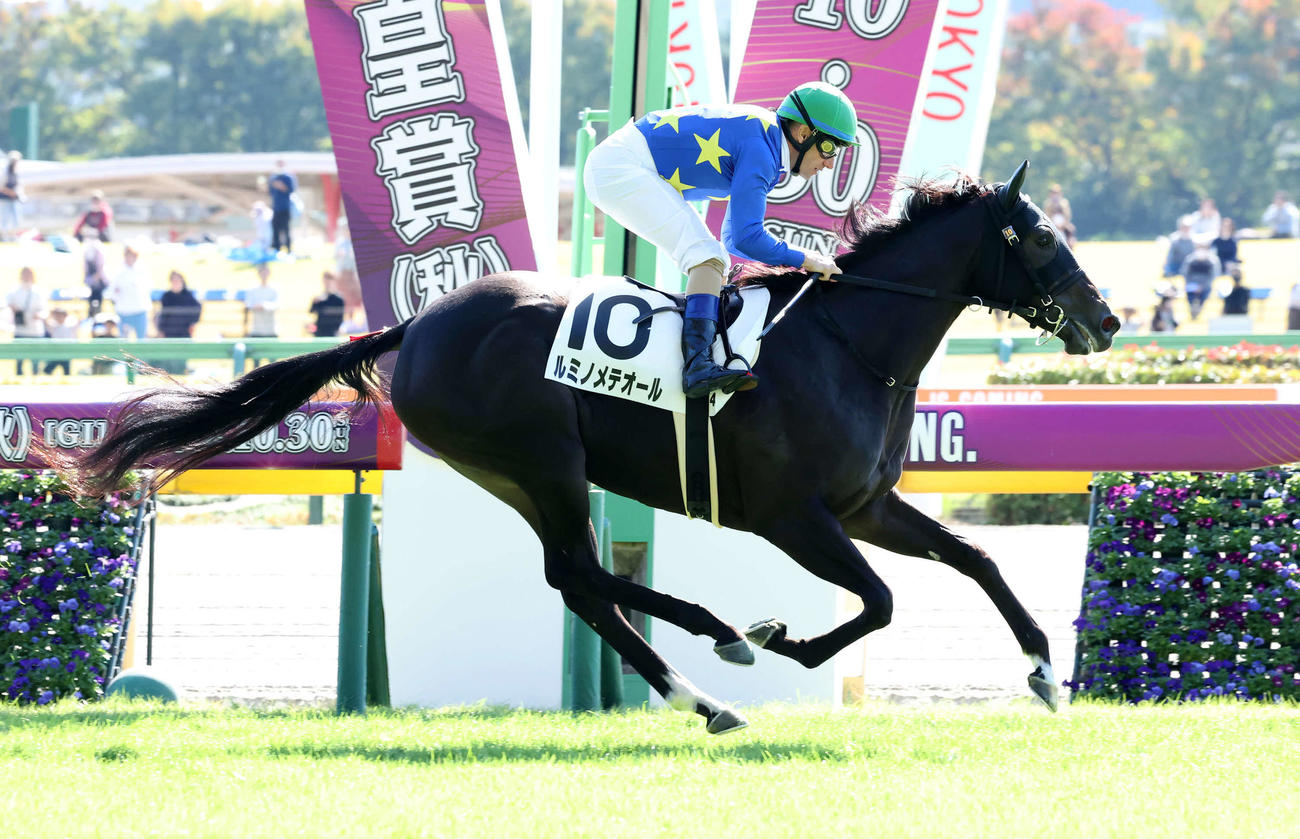 東京4R新馬戦を制したルミノメテオールとM・デムーロ騎手（撮影・丹羽敏通）