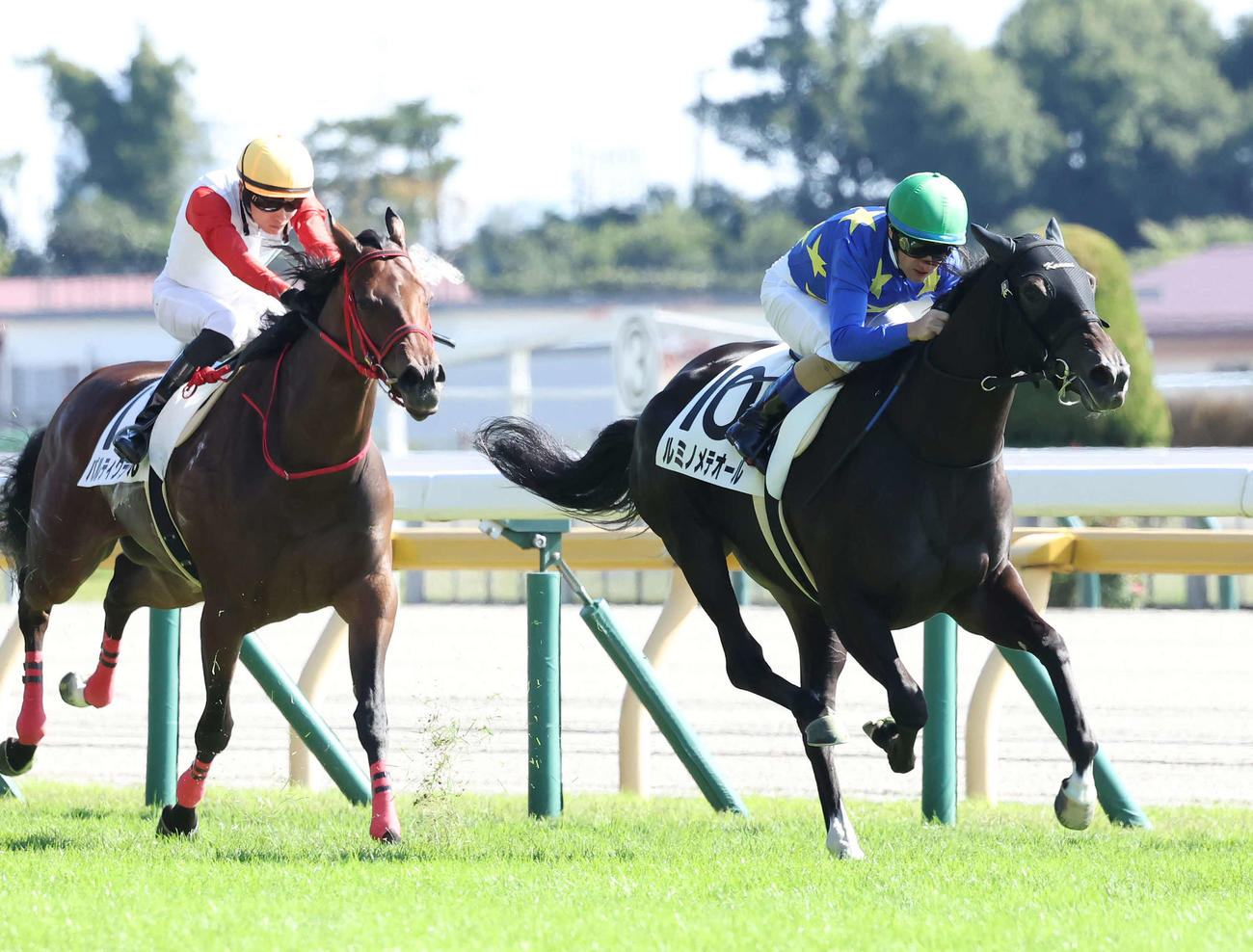 東京4R新馬戦を制したルミノメテオールとM・デムーロ騎手（右）（撮影・丹羽敏通）