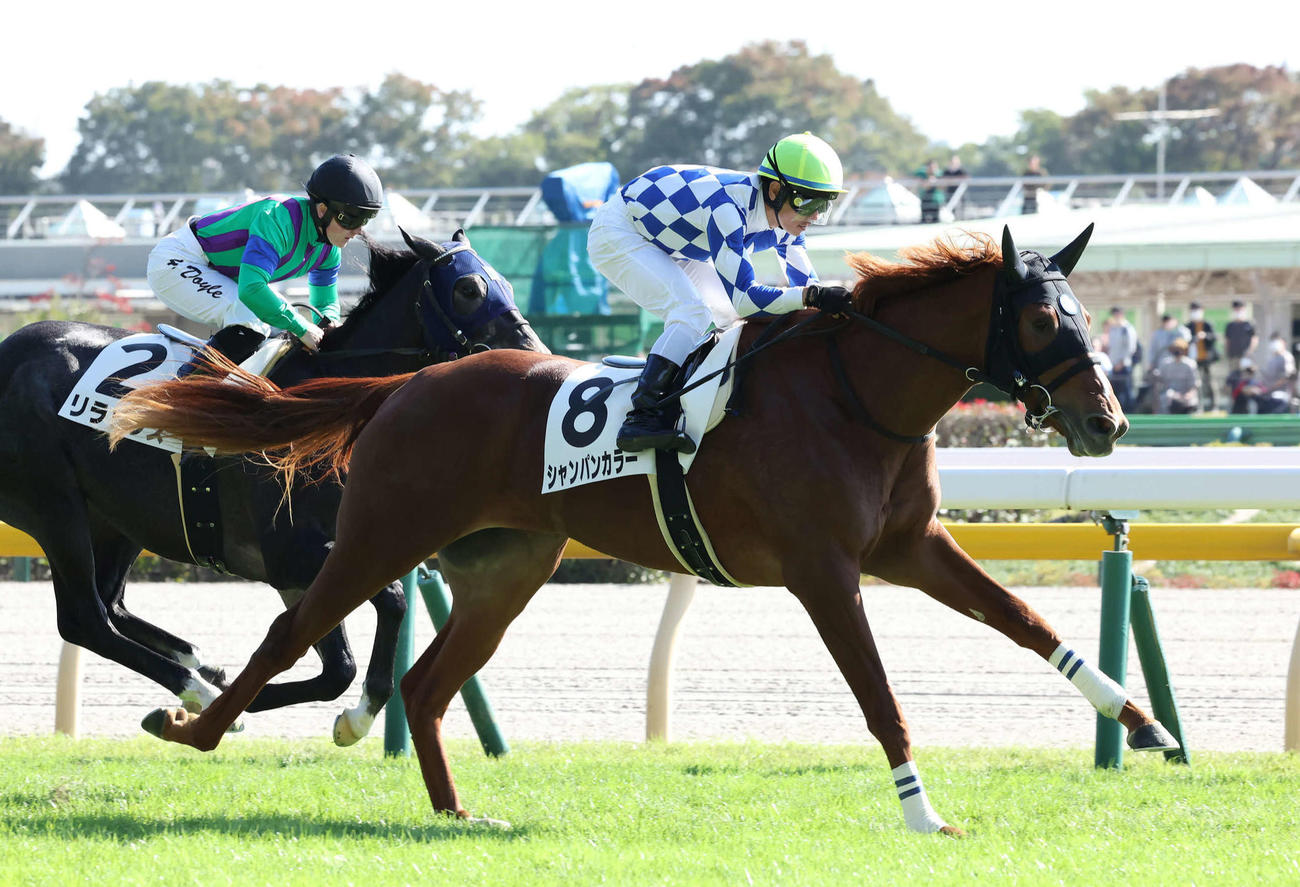 東京5R、2歳新馬戦を制したシャンパンカラーと戸崎騎手（右）（撮影・丹羽敏通）