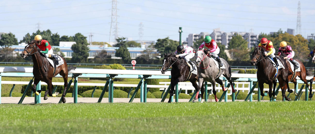 阪神5R新馬戦を制したマイネルエンペラー（左）（撮影・白石智彦）