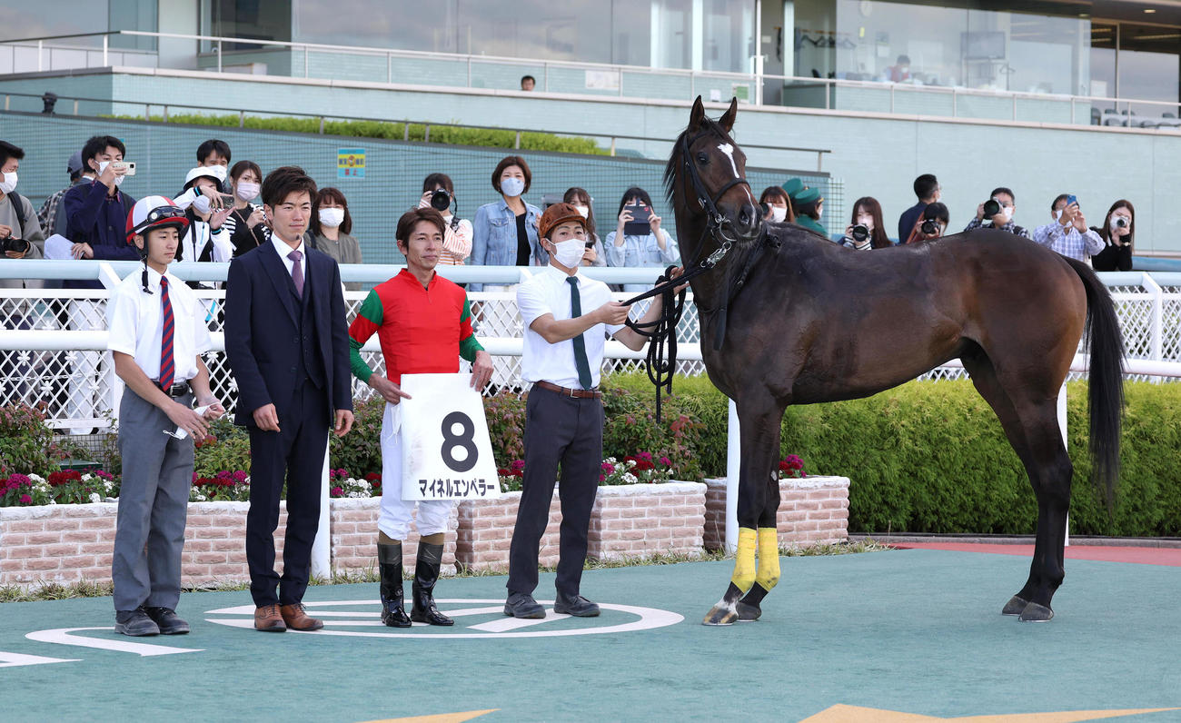 阪神5R新馬戦を制したマイネルエンペラーと口取りに並ぶ和田竜騎手（右から2人目）（撮影・白石智彦）