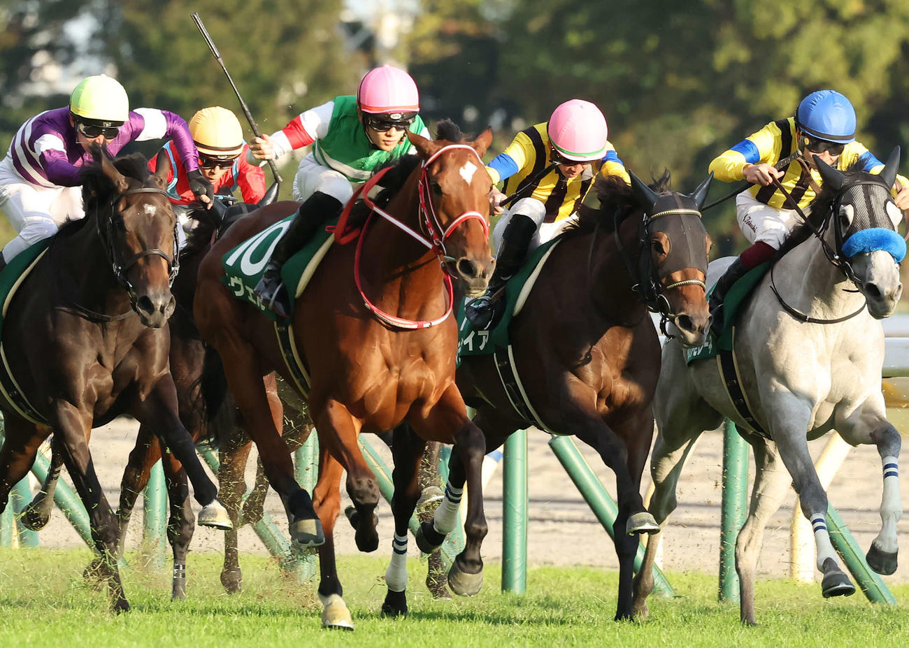 東京11R、アルテミスSを制したラヴェルと坂井騎手（左から2頭目）（撮影・丹羽敏通）