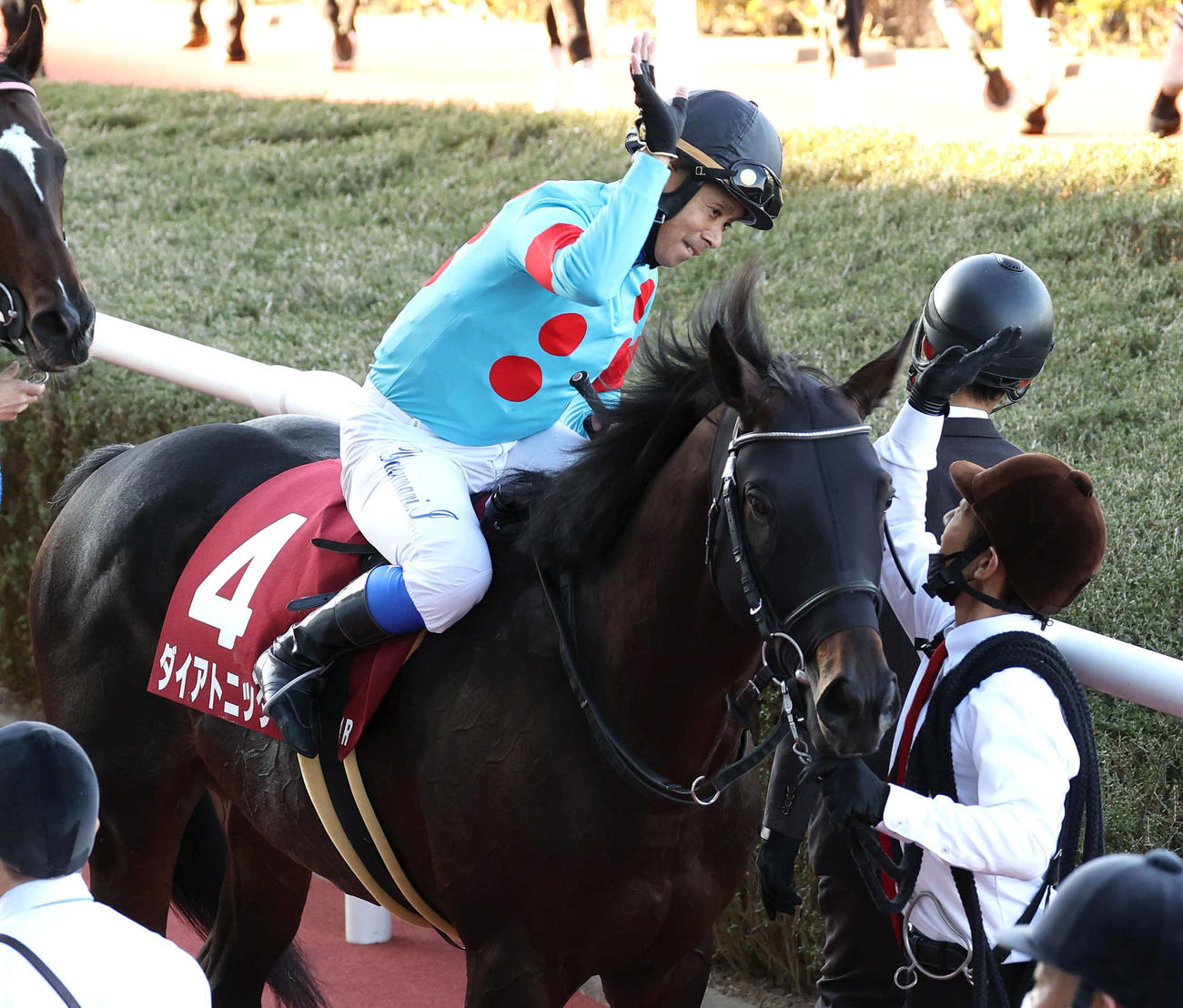 スワンSを制した岩田康騎手はハイタッチを交わす（撮影・白石智彦）