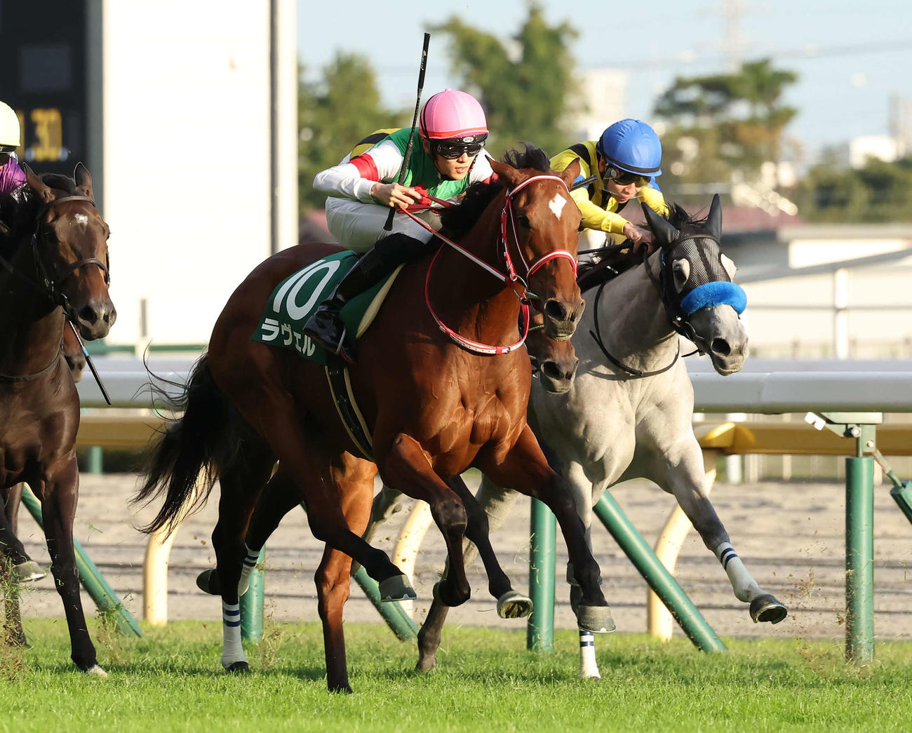 アルテミスSを制したラヴェルと坂井騎手（左）（撮影・丹羽敏通）