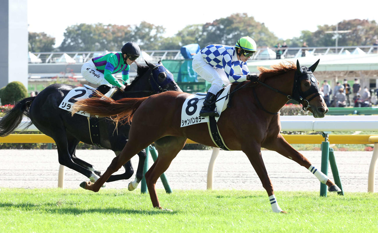 東京5R、2歳新馬戦を制したシャンパンカラーと戸崎騎手（右）（撮影・丹羽敏通）