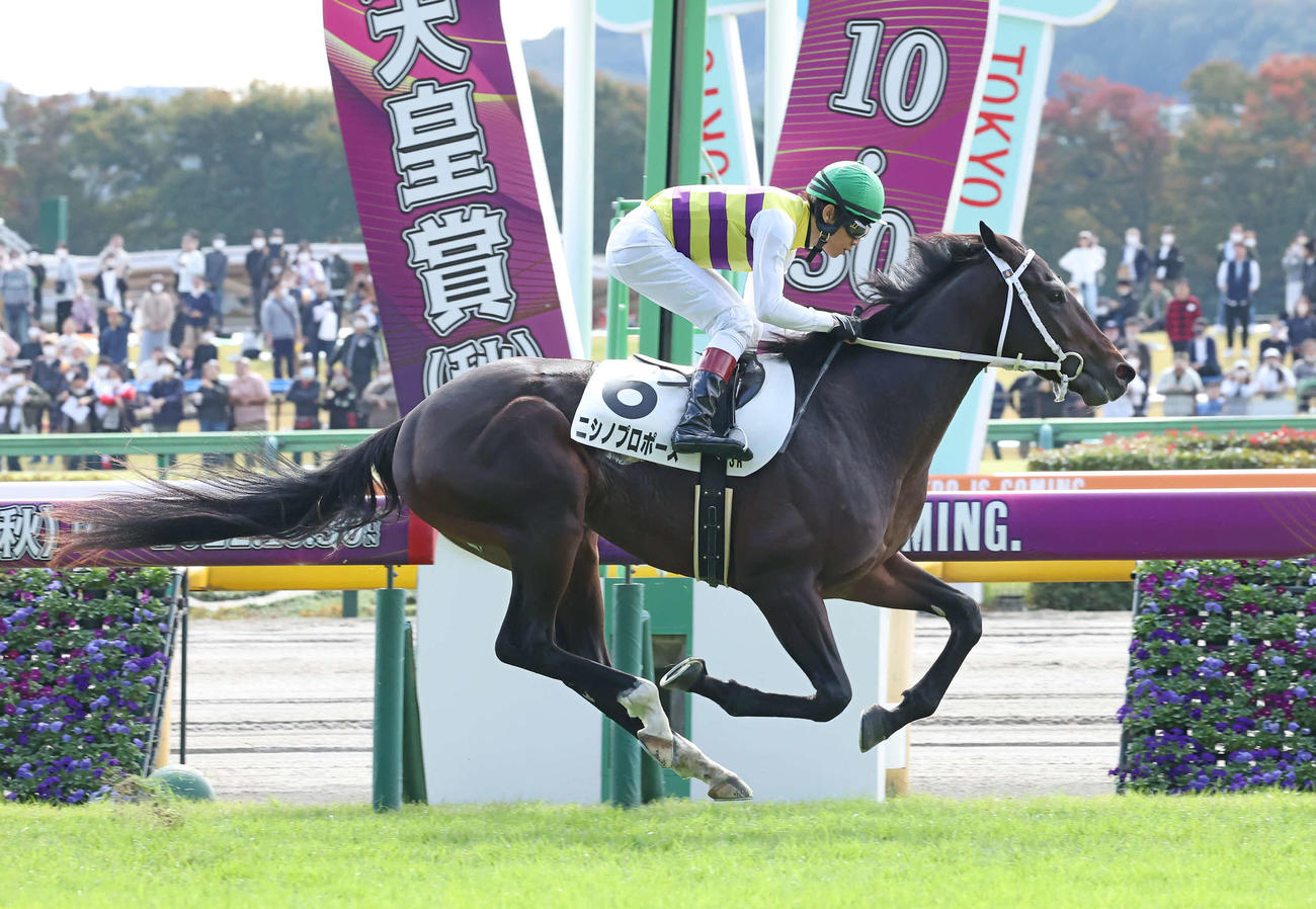 東京3R、2歳未勝利戦を制したニシノプロポーズと田辺騎手（撮影・丹羽敏通）