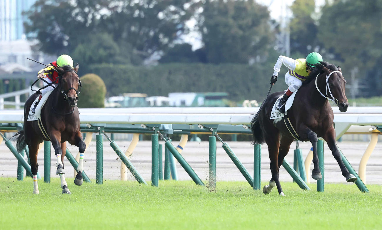 東京3R、2歳未勝利戦を制したニシノプロポーズと田辺騎手（右）（撮影・丹羽敏通）