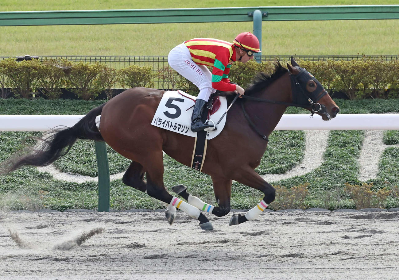 東京4R、2歳新馬戦を制したパライバトルマリンとC・デムーロ騎手（撮影・丹羽敏通）