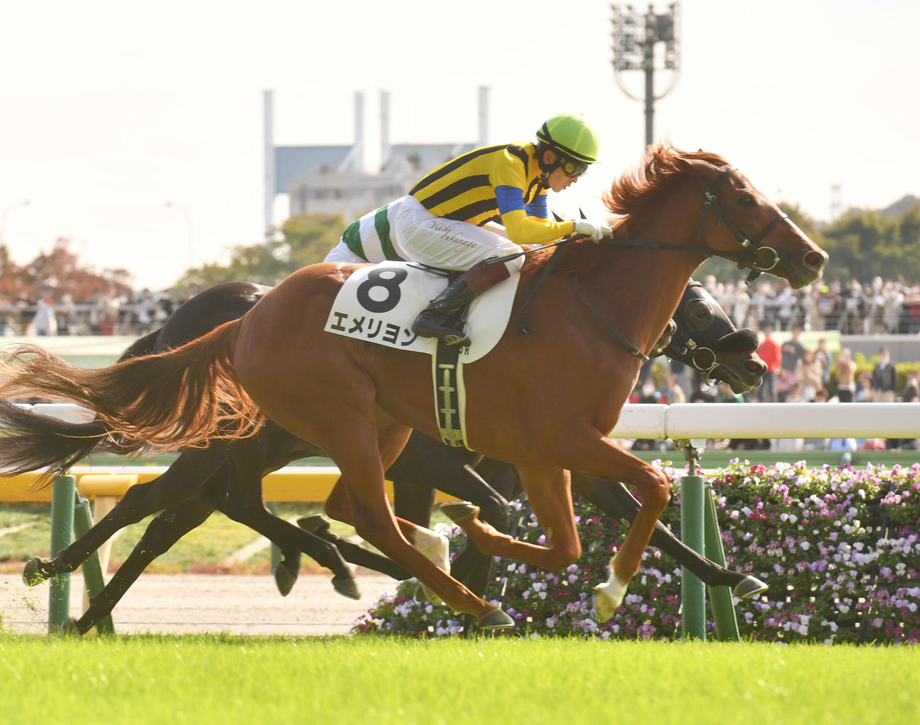 新馬戦を制したエメリヨン（手前）（撮影・柴田隆二）