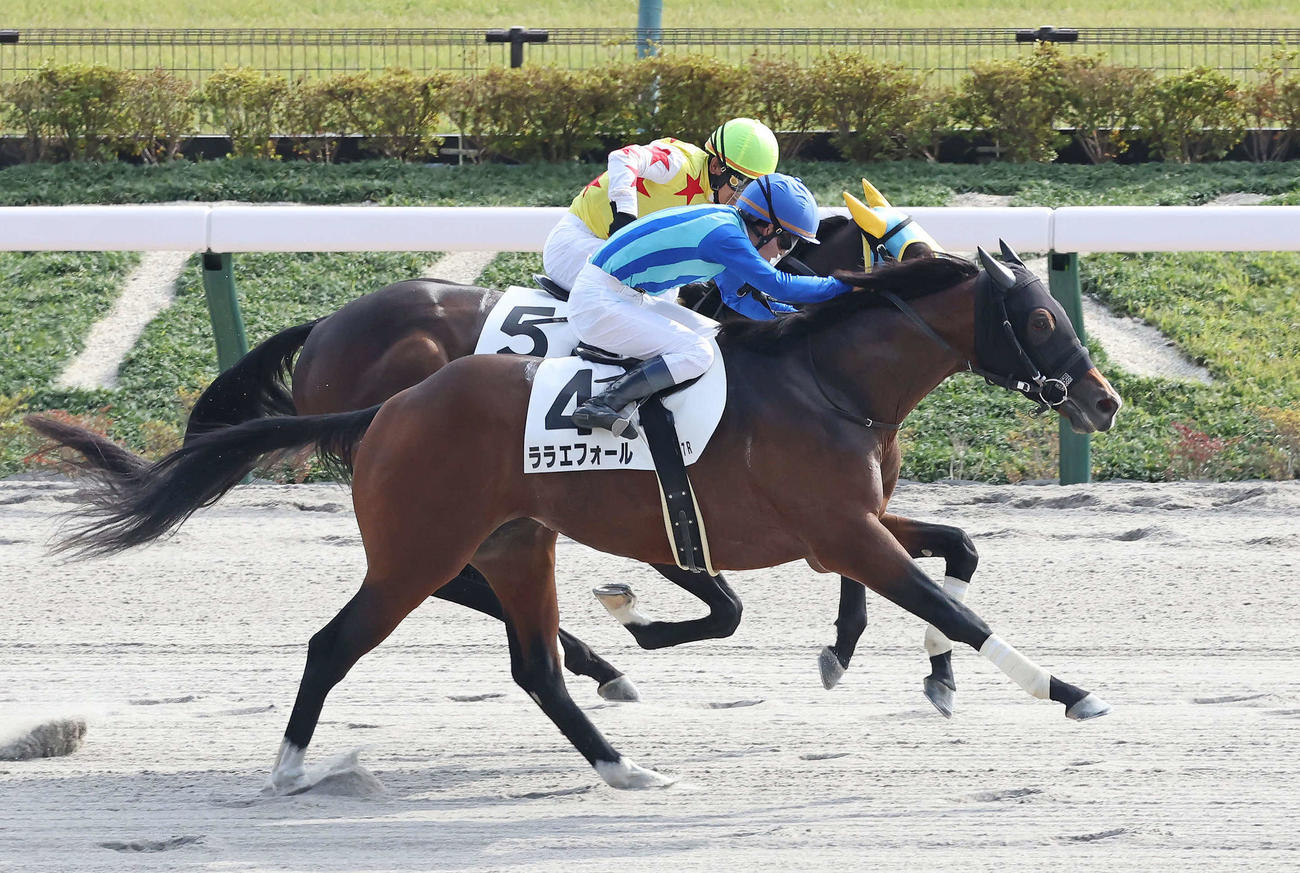 東京7R、3歳上1勝クラスを制したララエフォールと菅原明良騎手（手前）（撮影・丹羽敏通）