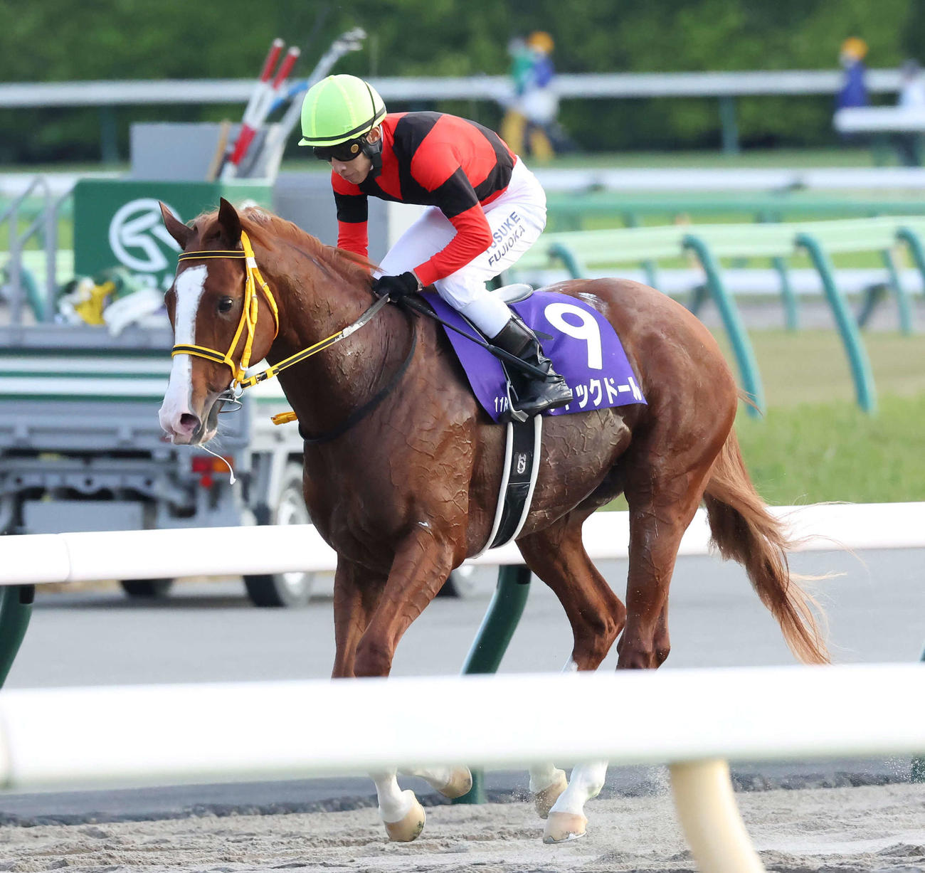 東京11R、天皇賞・秋で4着になったジャックドールと藤岡佑騎手（撮影・丹羽敏通）