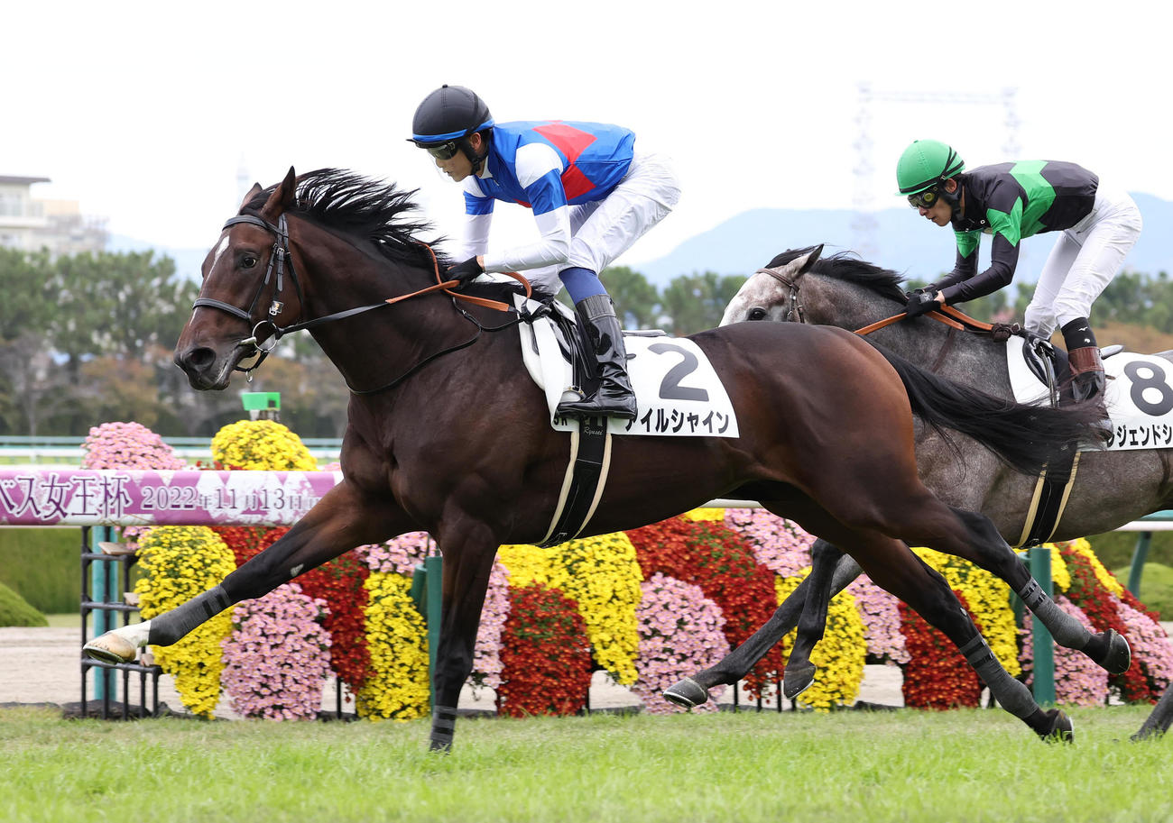 新馬戦を制したアイルシャイン（撮影・白石智彦）