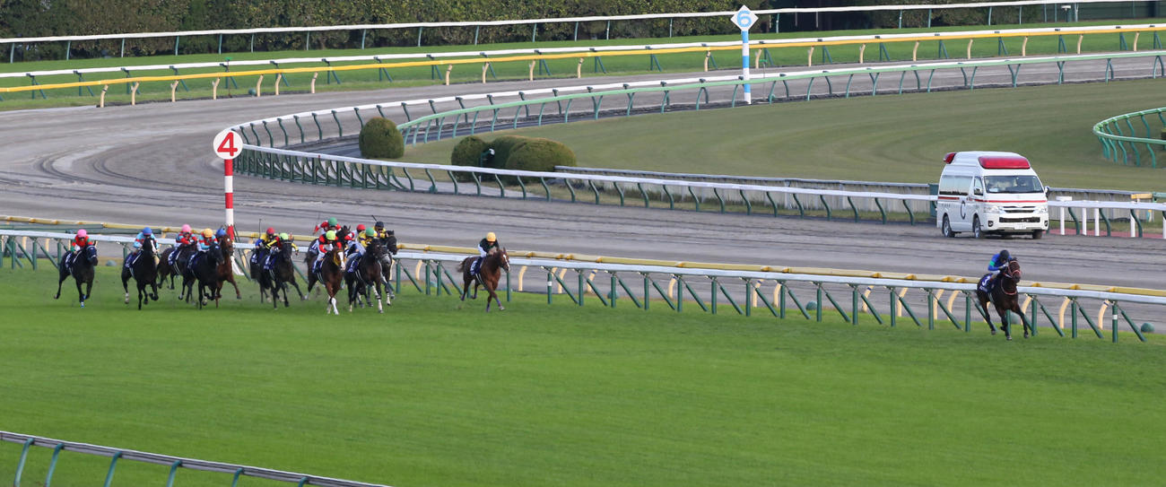 天皇賞・秋で大逃げするパンサラッサ（右端）。左から2頭目がイクイノックス