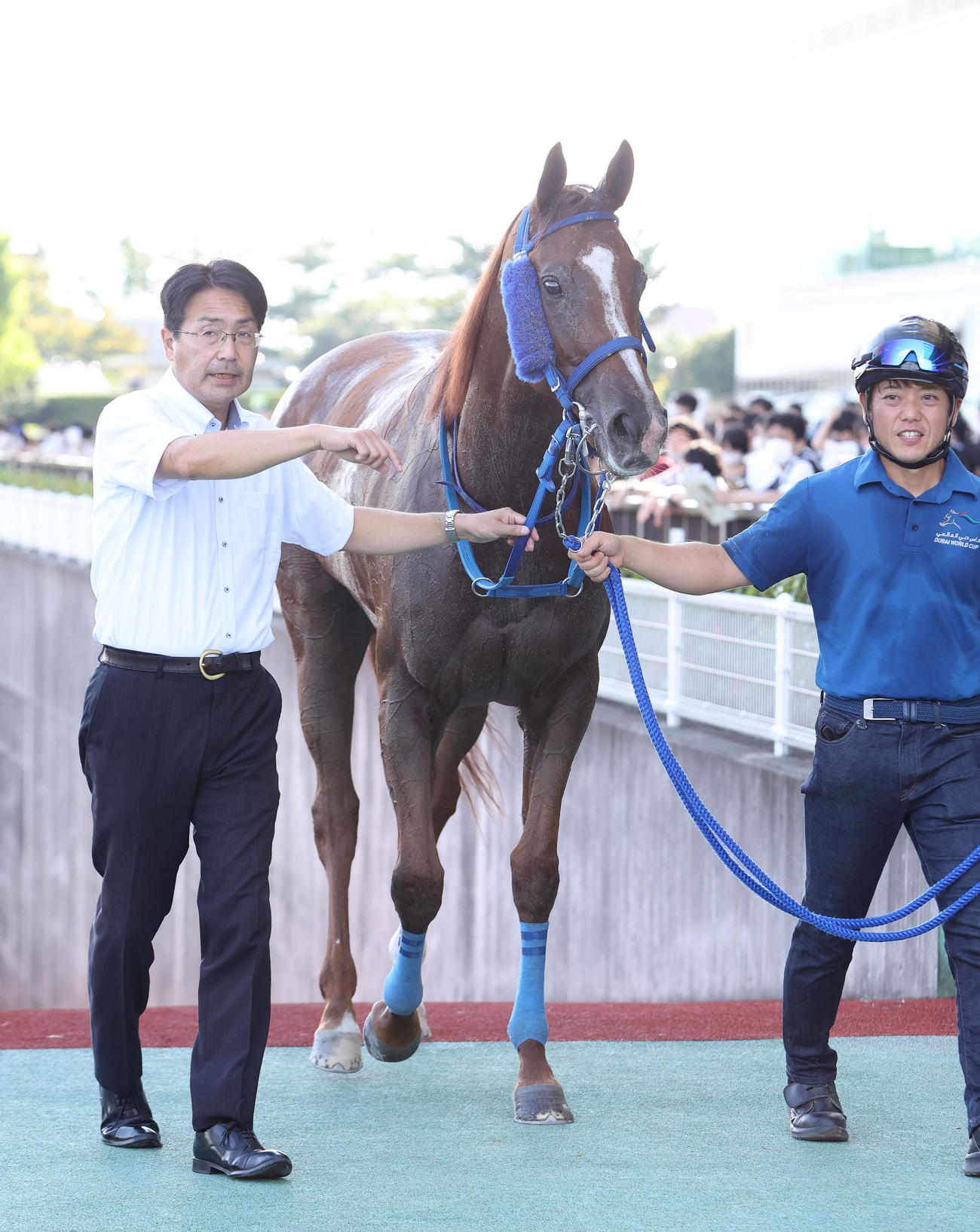 エニフSを制したチェーンオブラブ（2022年9月撮影）