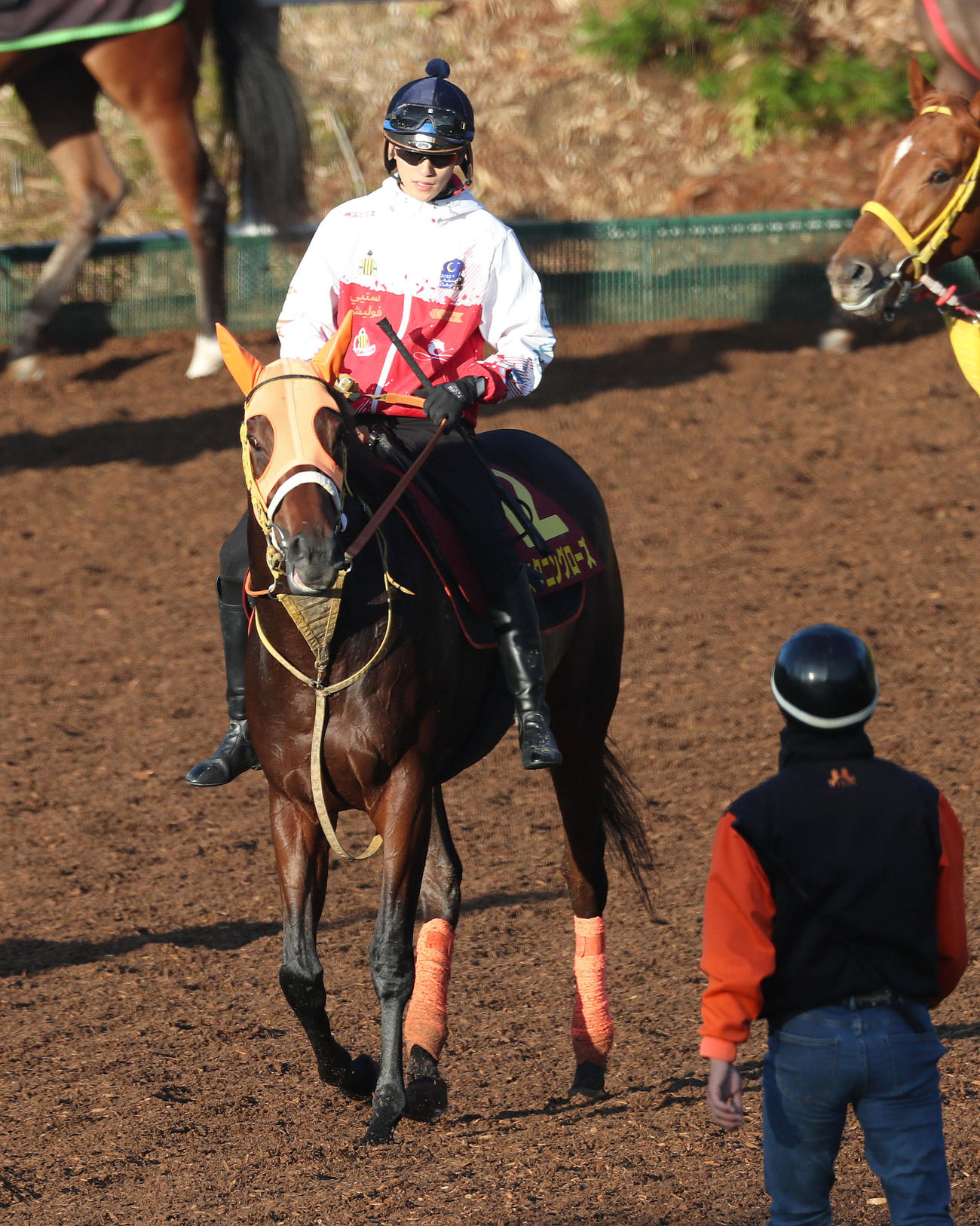 坂井騎手を背に角馬場で運動するスタニングローズ（撮影・白石智彦）
