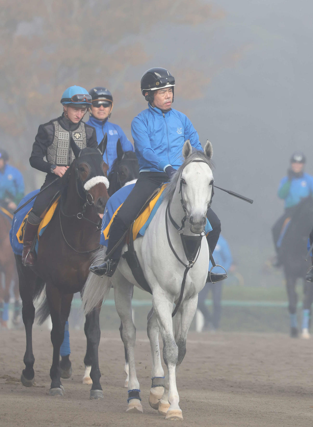 朝もやの中、国枝厩舎の先頭に立って馬場へ向かうボスジラ（撮影・丹羽敏通）