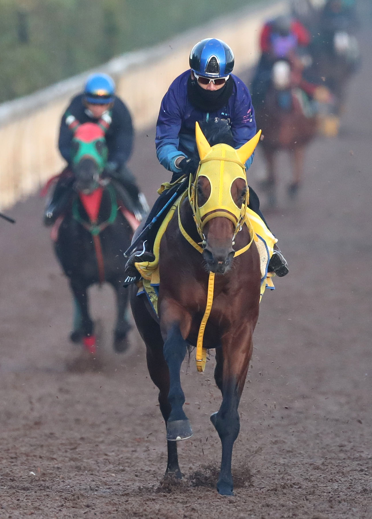 松山騎手を背に坂路を単走で追い切るロンドンプラン（撮影・白石智彦）