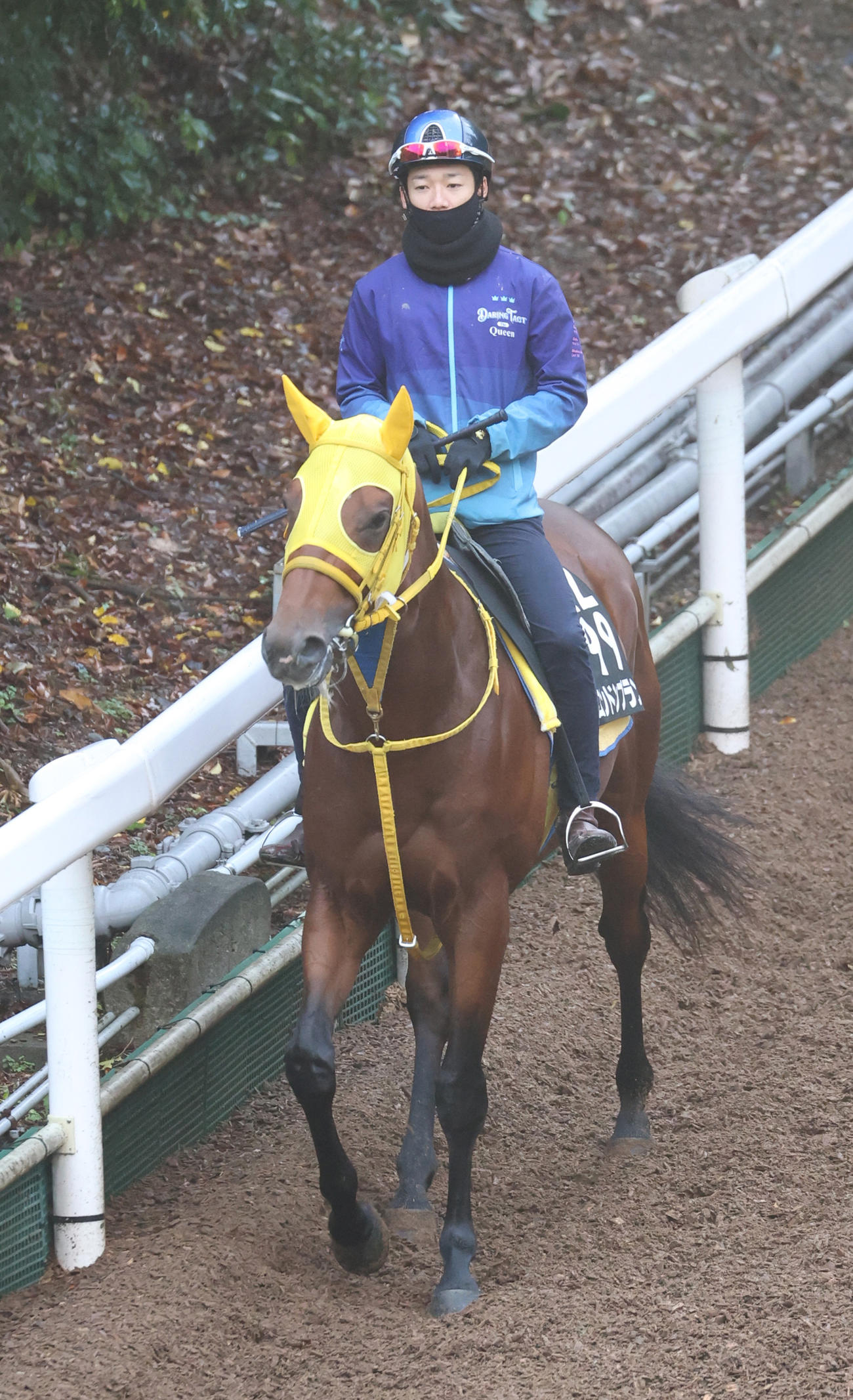 松山騎手を背に追い切りへ向かうロンドンプラン