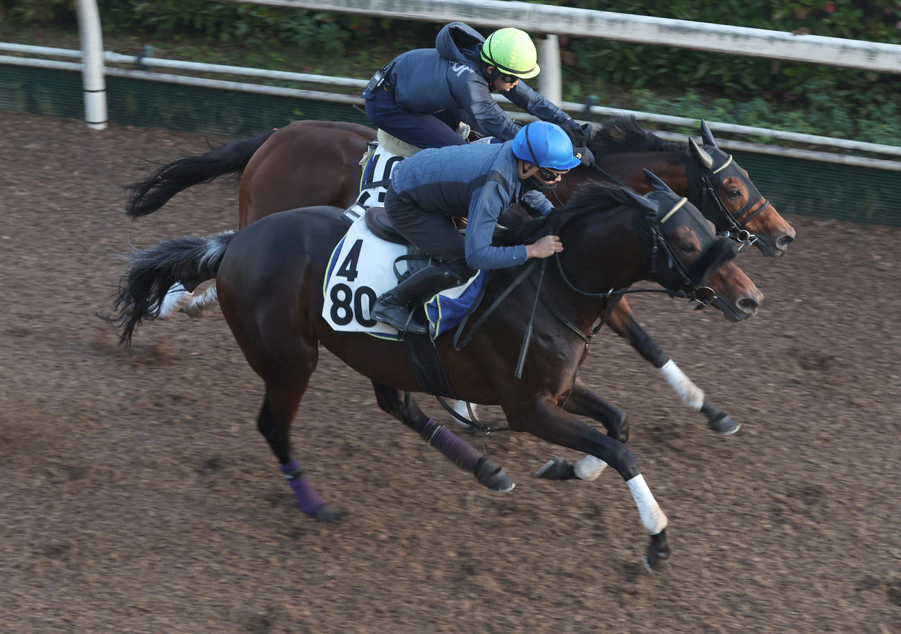 岩田望騎手を背に坂路にて併せ馬で追い切るカントル（手前）