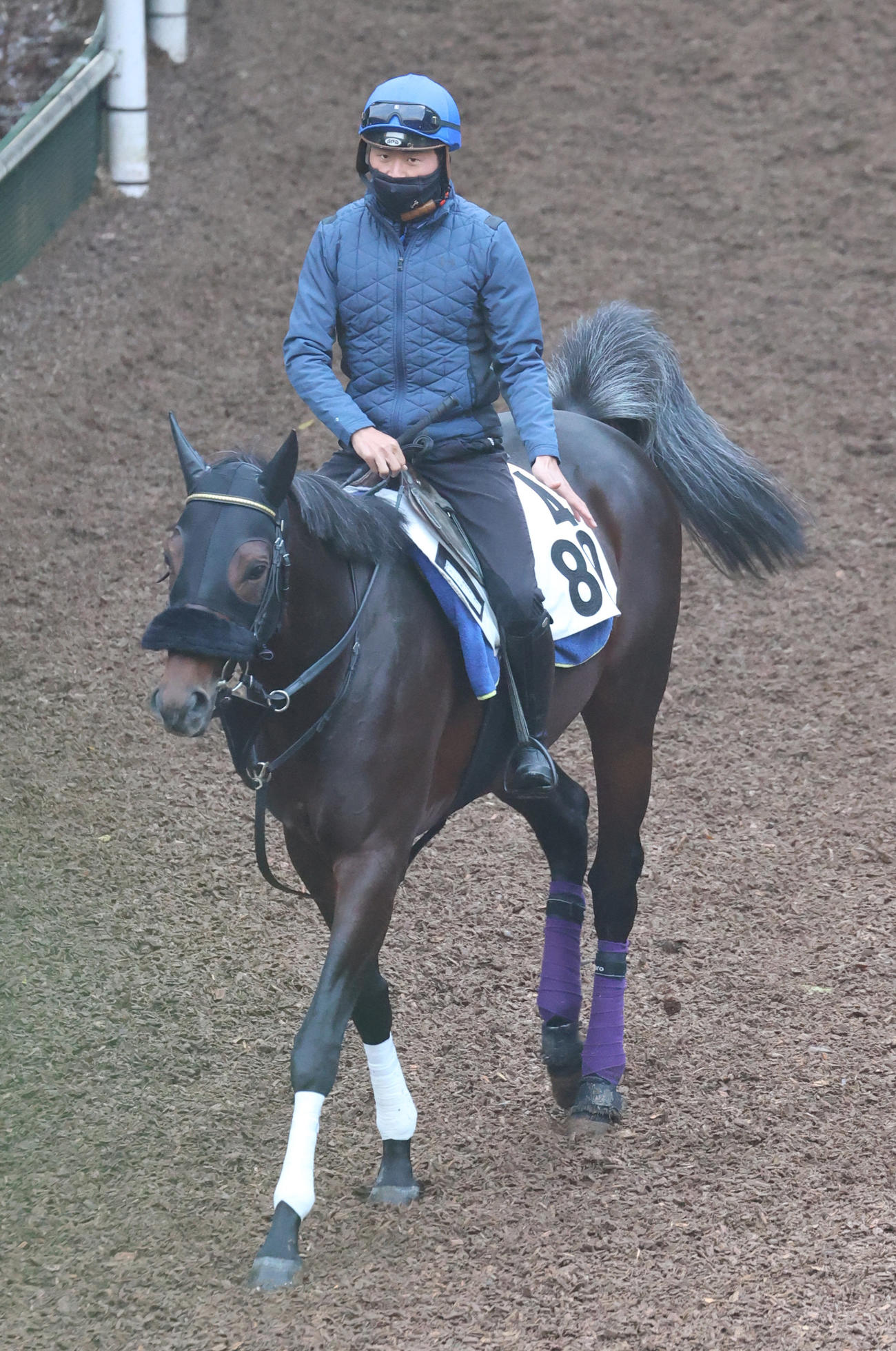 岩田望騎手を背にしたカントル