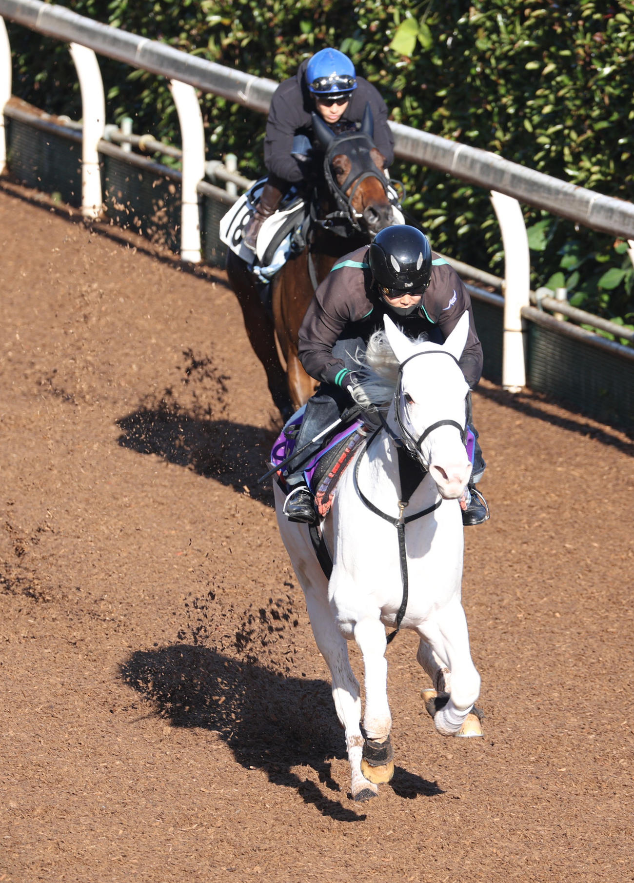 坂路にて併せ馬で追い切るソダシ（手前）