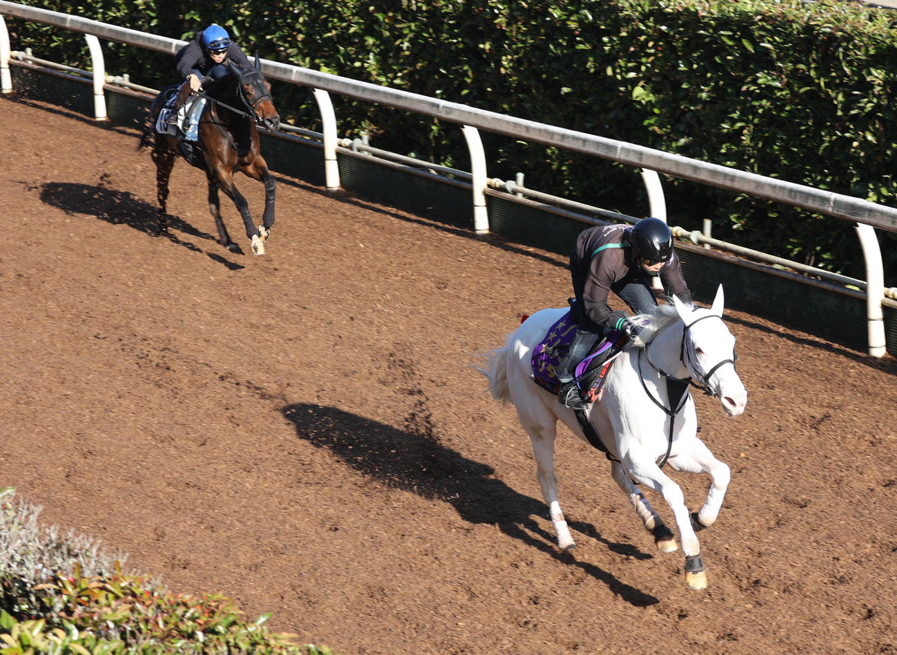 坂路にて併せ馬で追い切るソダシ（右）