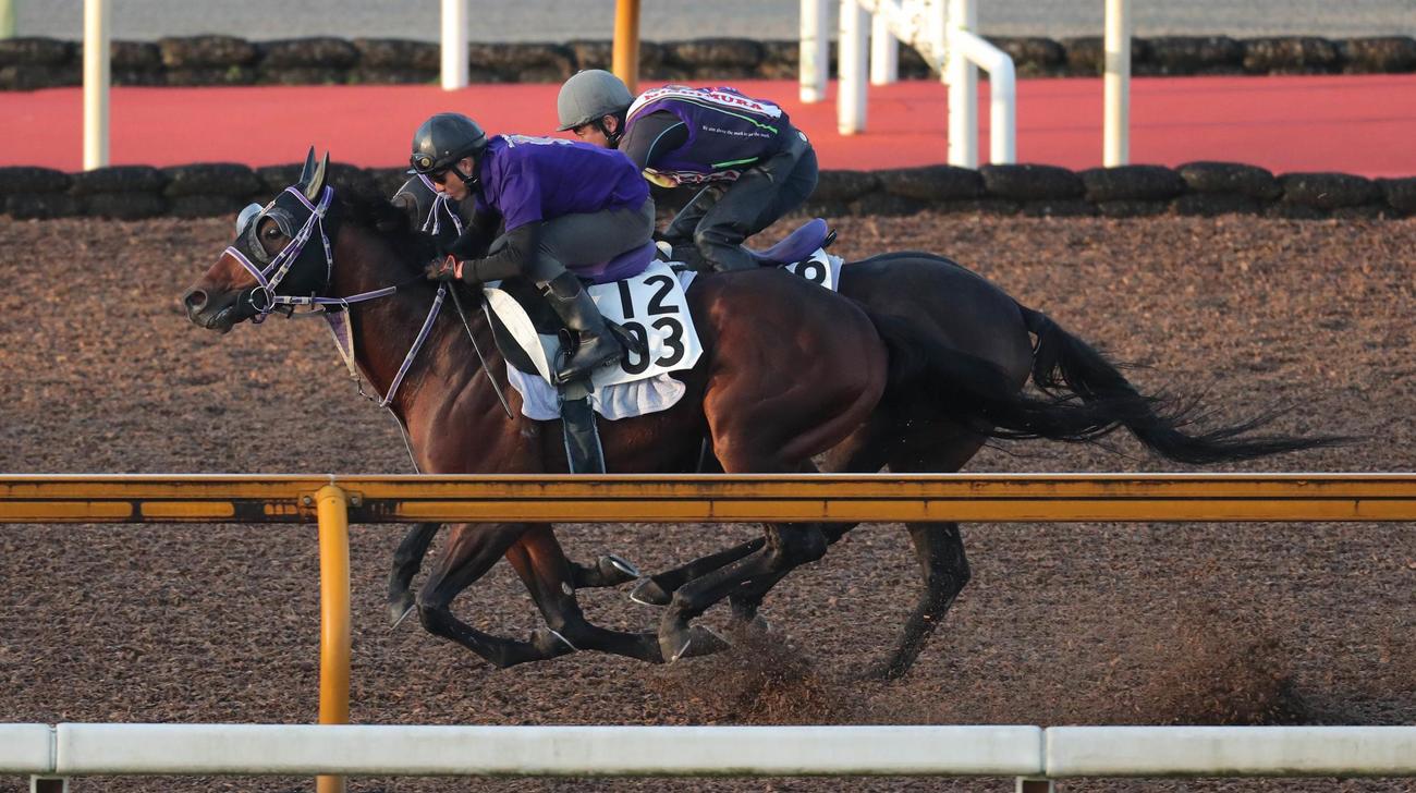 タイセイドレフォン（手前）はCウッドでパーサヴィアランスと2頭併せで追い切られ軽快な動きを見せた