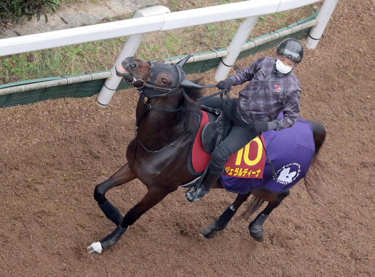 馬場へ向かうジェラルディーナ