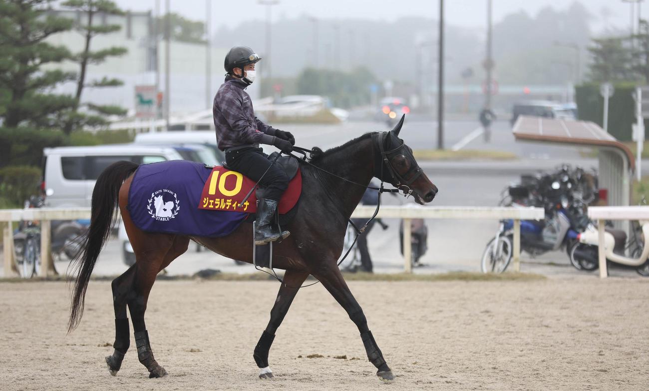 馬場へ向かうジェラルディーナ
