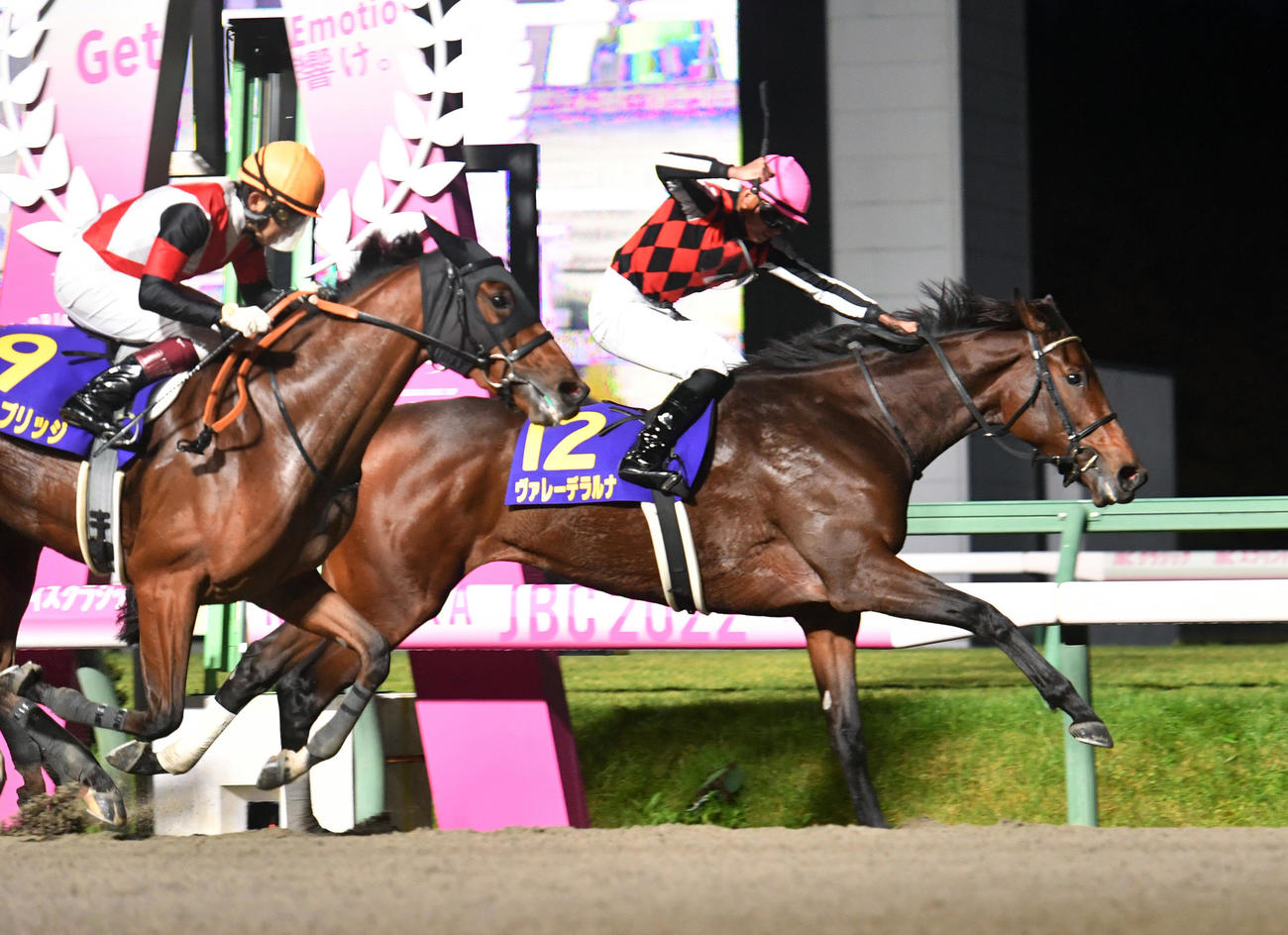 JBCレディスクラシックを制したヴァレーデラルナ（右）の岩田望騎手はガッツポーズ（撮影・柴田隆二）