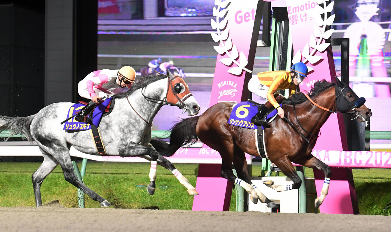 JBCスプリントを制したダンシングプリンス（右）、2着リュウノユキナ（撮影・柴田隆二）