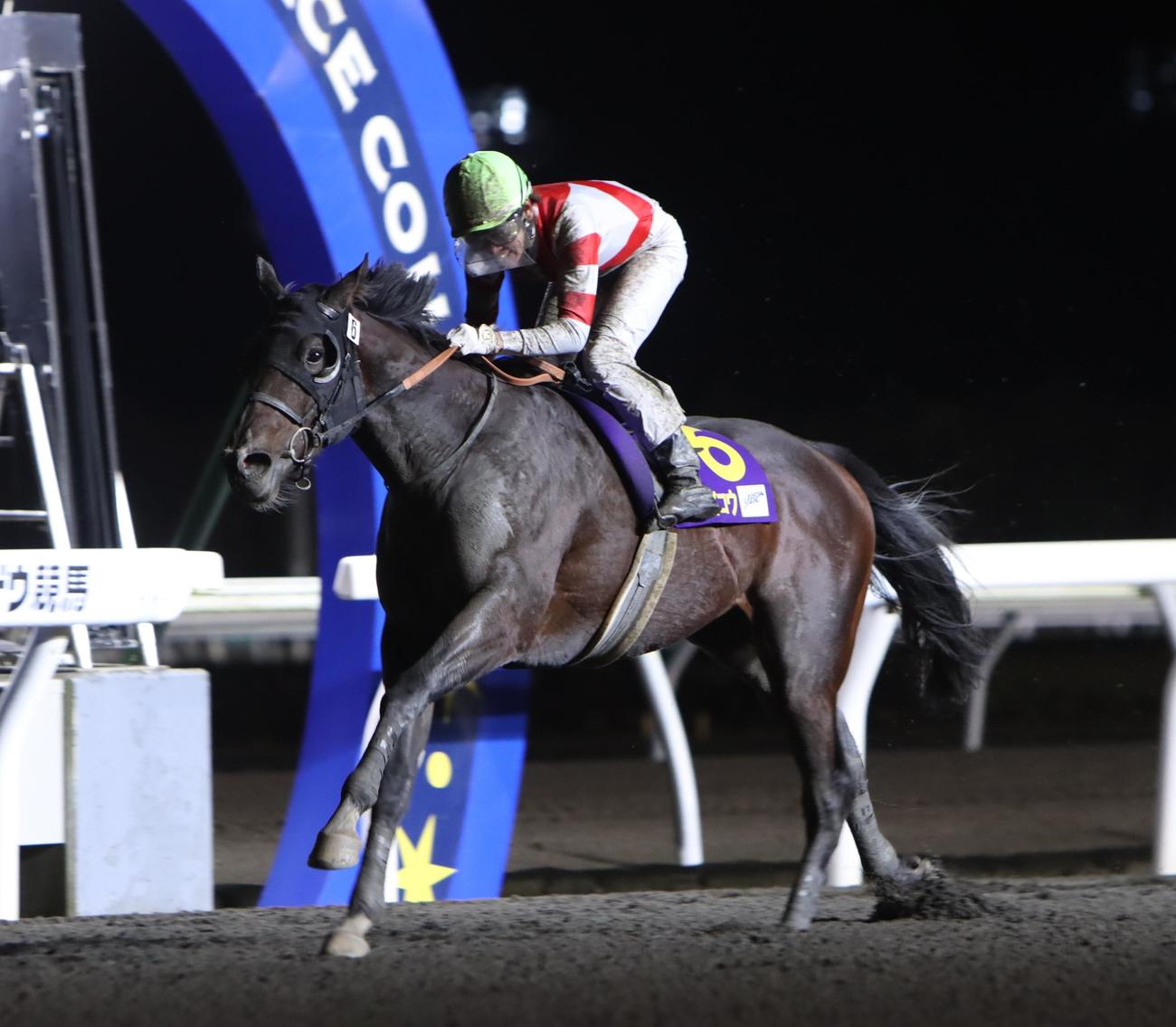 未勝利勝ちから2連勝で重賞初制覇を果たしたゴライコウ（撮影・奥村晶治）