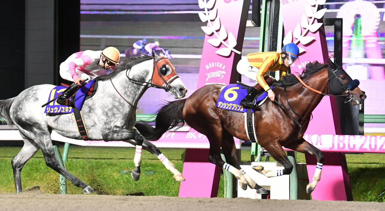 JBCスプリントを制したダンシングプリンス。左は2着のリュウノユキナ（撮影・柴田隆二）
