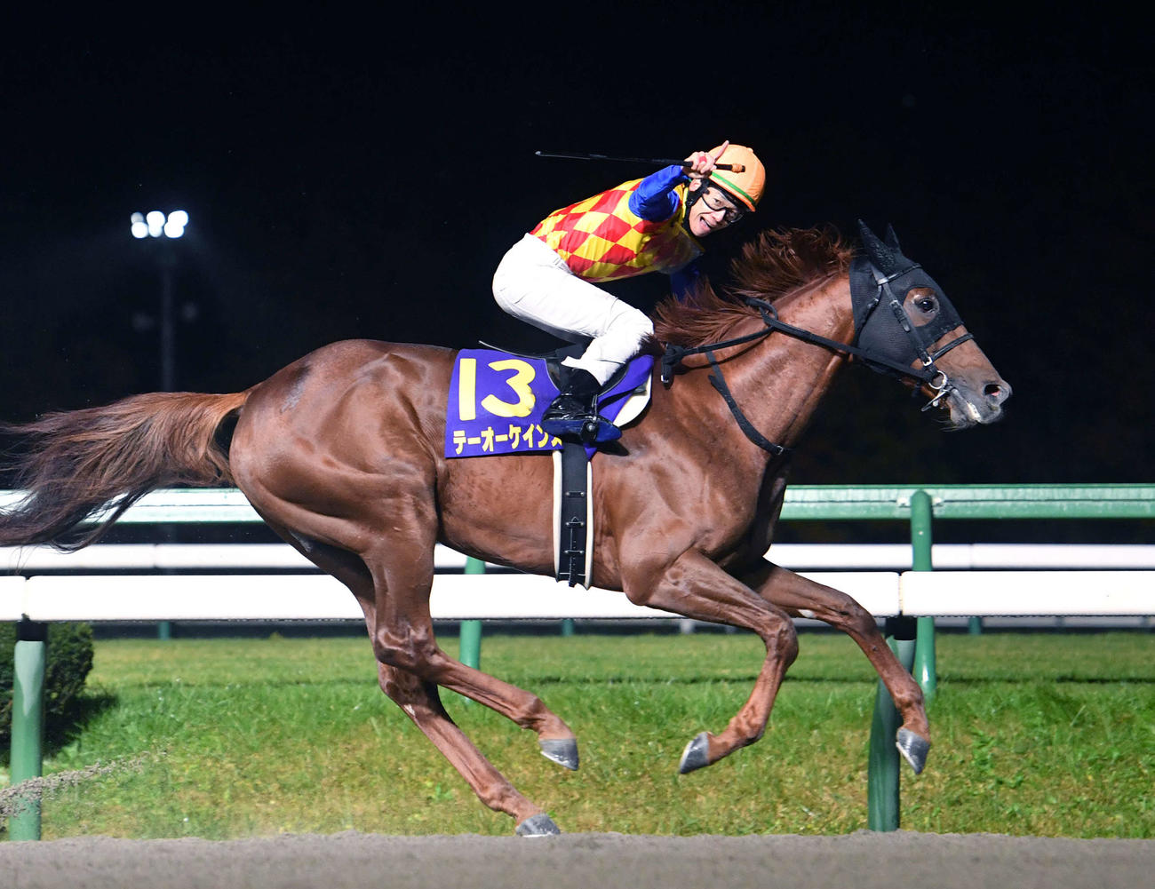 JBCクラシックを制したテーオーケインズ（2022年11月3日撮影）