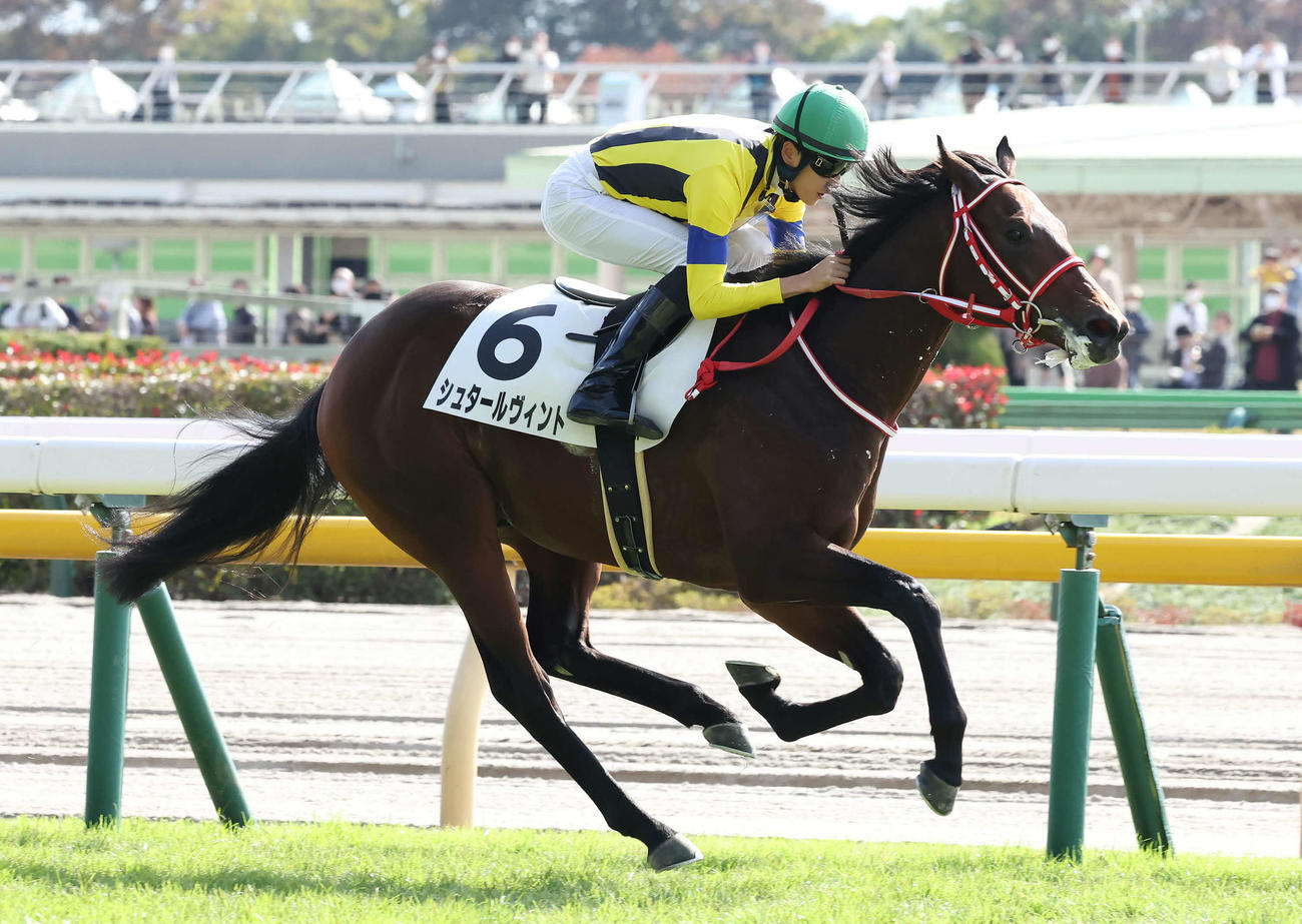東京4R、2歳未勝利戦を制したシュタールヴィントと坂井騎手（撮影・丹羽敏通）